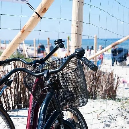 Dom Goscinny Marta *